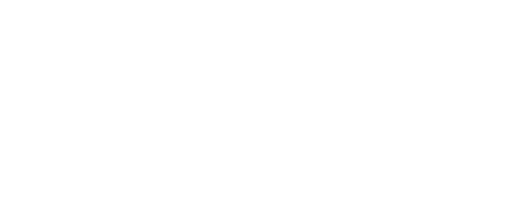Fleek